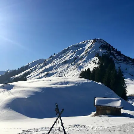 Aelpler Stuba Am Laerchenhof Апартаменты Warth (Vorarlberg)