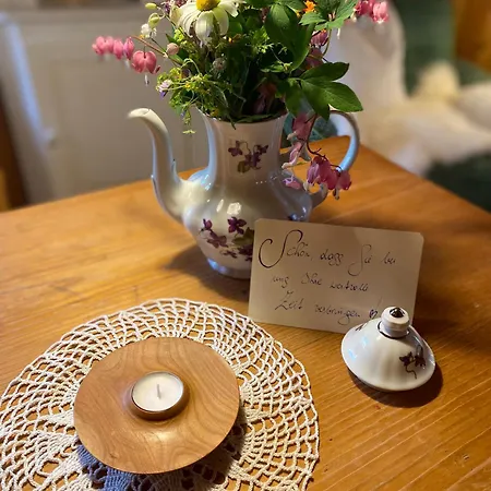 Aelpler Stuba Am Laerchenhof Daire