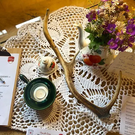 Daire Aelpler Stuba Am Laerchenhof